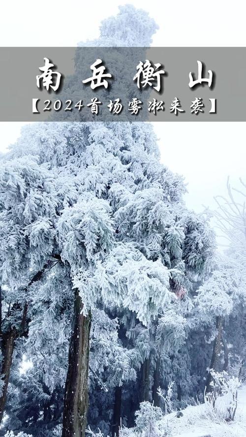 南岳天气,11号南岳天气-第4张图片 南岳天气,11号南岳天气-第4张图片