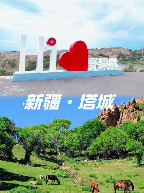 关于“塔城地区疫情”你不知道的事