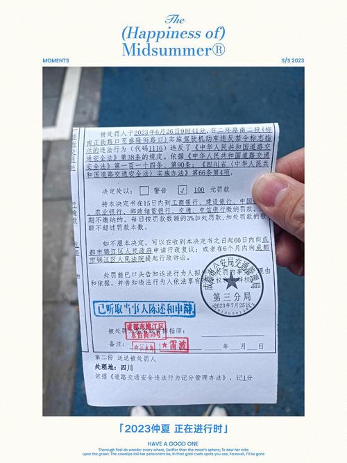 【限行罚款/限行罚款多少】-第5张图片 【限行罚款/限行罚款多少】-第5张图片