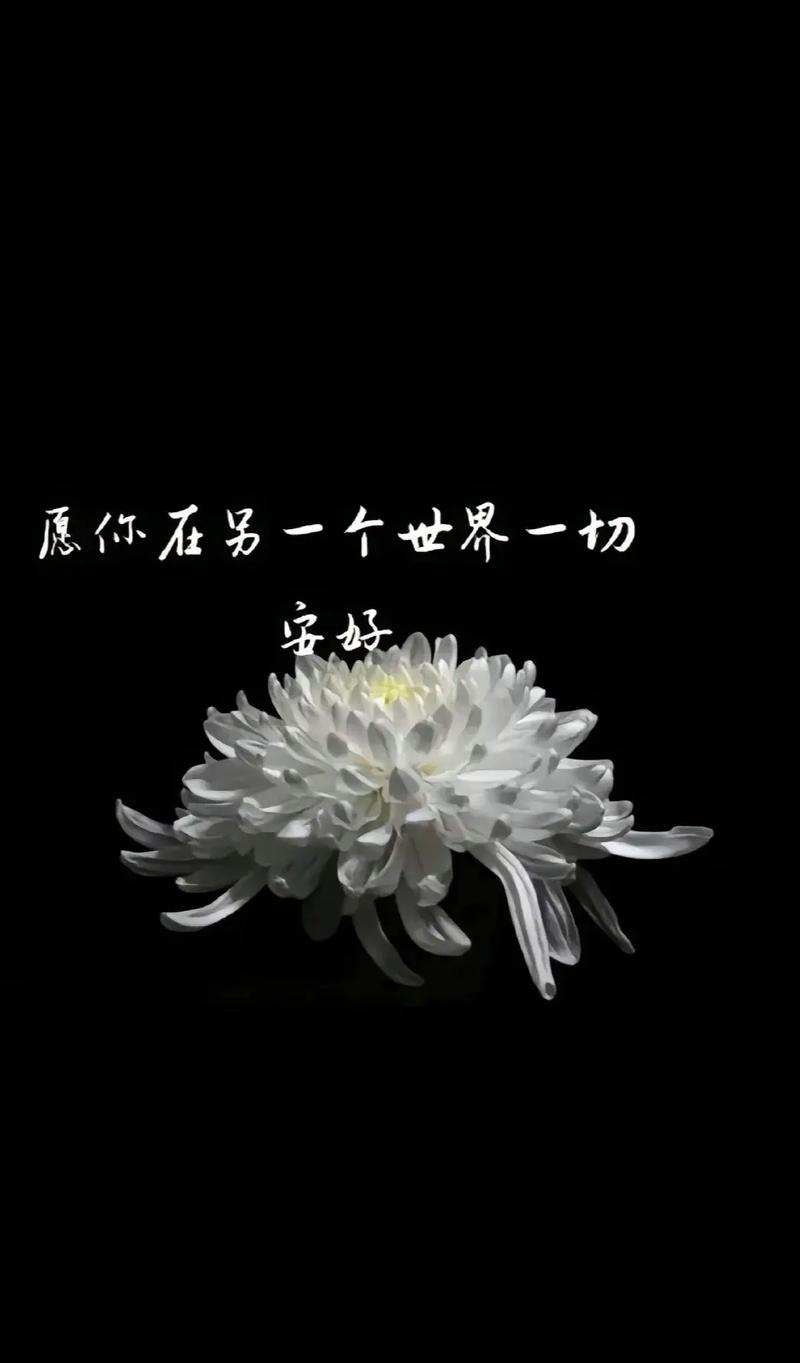 抗战疫情的画,抗战疫情的绘画作品一等奖-第1张图片 抗战疫情的画,抗战疫情的绘画作品一等奖-第1张图片