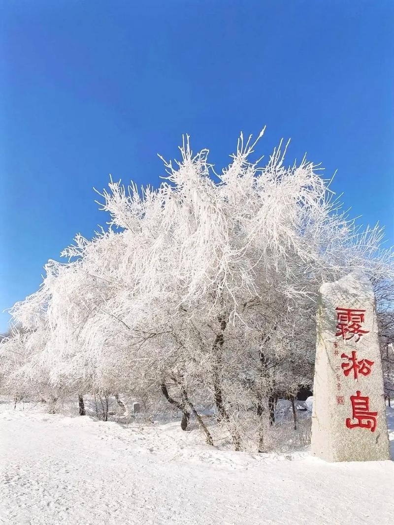 关于“吉林市天气预报一周”你不知道的事-第4张图片 关于“吉林市天气预报一周”你不知道的事-第4张图片