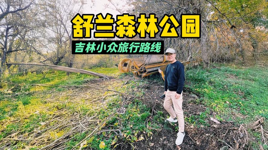 舒兰市天气预报,舒兰市天气预报十五天-第2张图片 舒兰市天气预报,舒兰市天气预报十五天-第2张图片