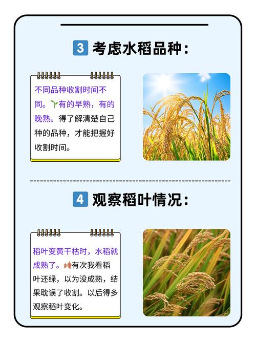 湖南湘潭天气-湖南湘潭天气预报7天查询-第3张图片 湖南湘潭天气-湖南湘潭天气预报7天查询-第3张图片
