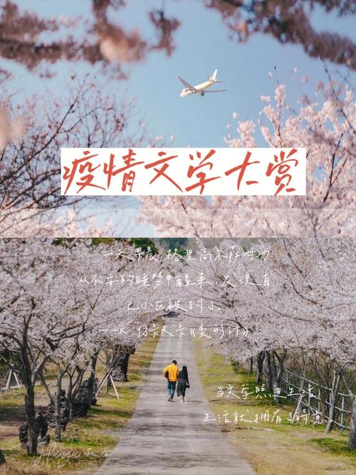 疫情与文学/疫情与文学的关系-第5张图片 疫情与文学/疫情与文学的关系-第5张图片
