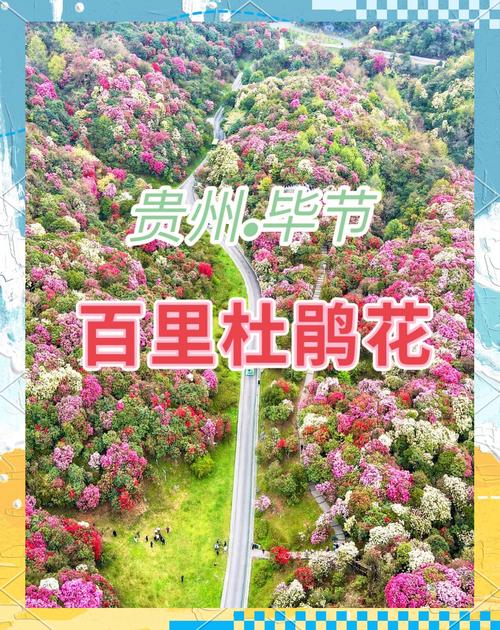 【毕节天气预报一周/贵州天气预报一周7天】-第5张图片 【毕节天气预报一周/贵州天气预报一周7天】-第5张图片