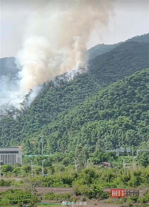 关于“肇庆天气”你不知道的事-第4张图片 关于“肇庆天气”你不知道的事-第4张图片